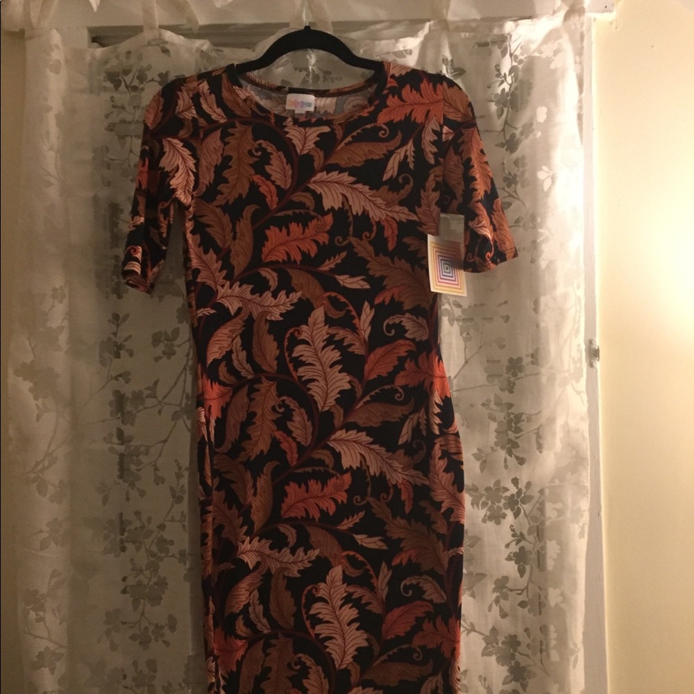 LulaRoe NWT Julia dress